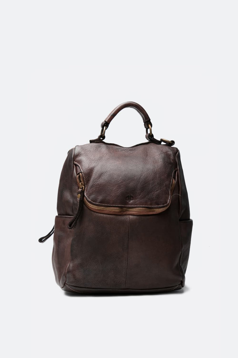 Arezzo Gold Testa di moro unisex Barone firenze - 1