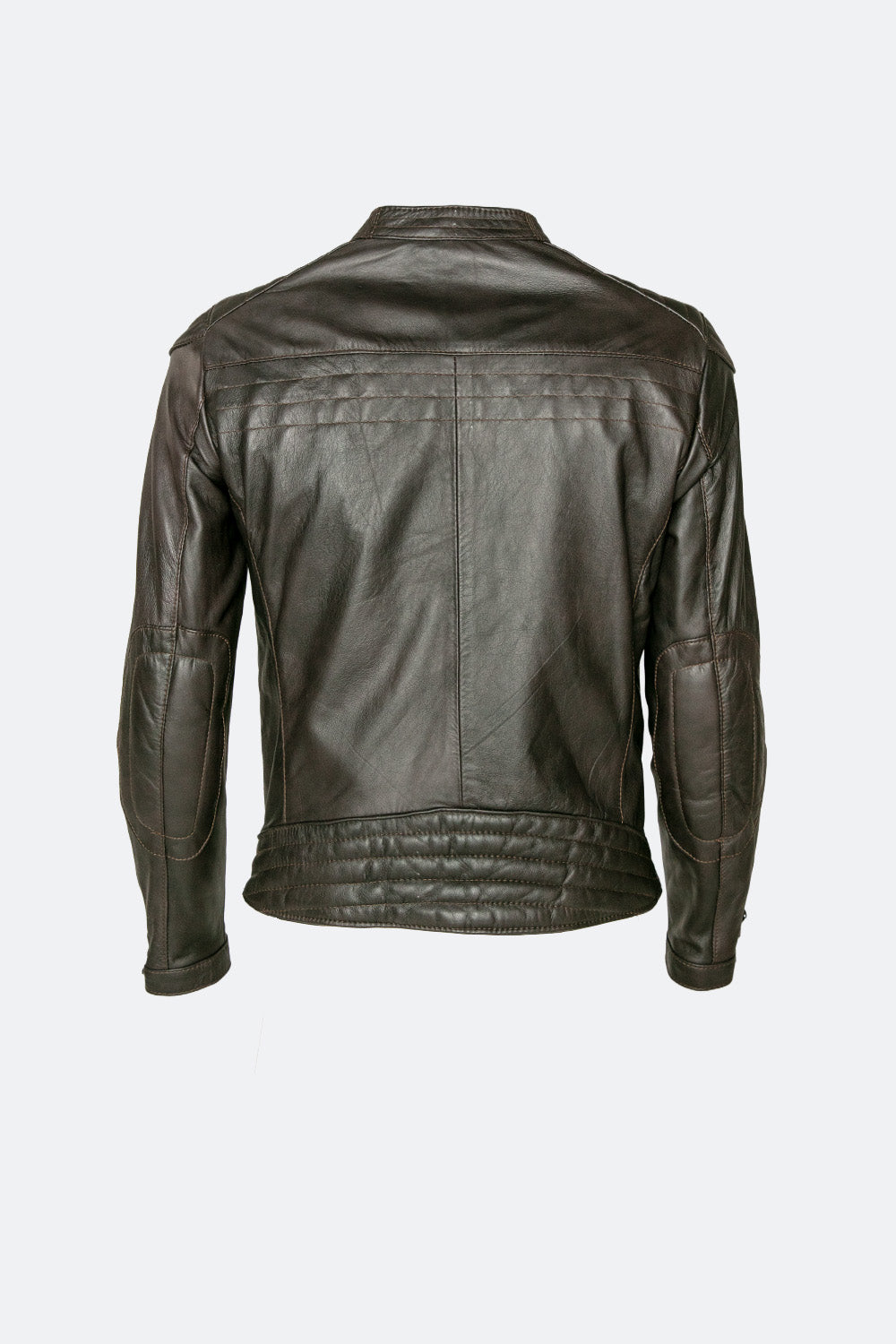 Roby Testa di Moro uomo Barone firenze - 9